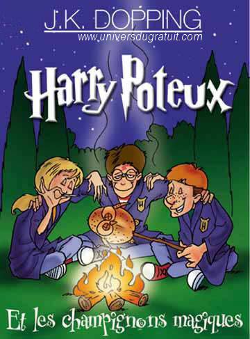 bouquin bouquin et bouquin